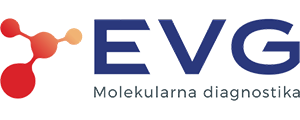EVG Store
